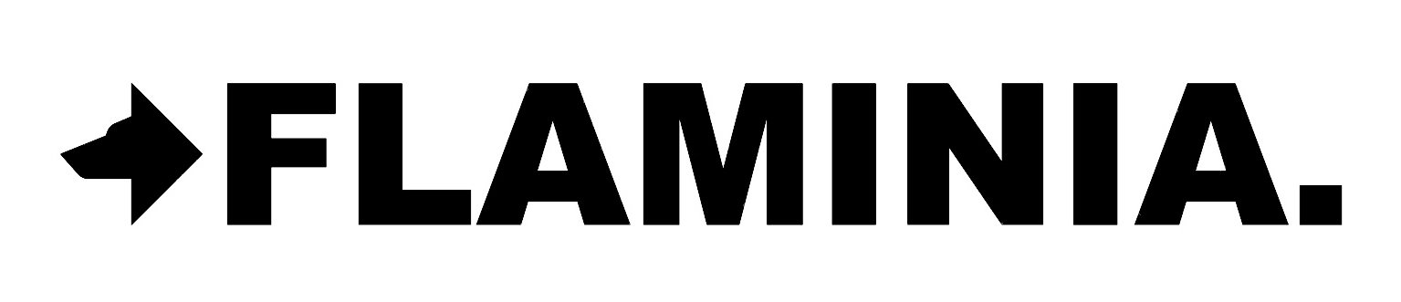 Логотип бренда Flaminia