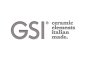 Логотип бренда GSI