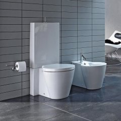 Ремонт унитаза Duravit